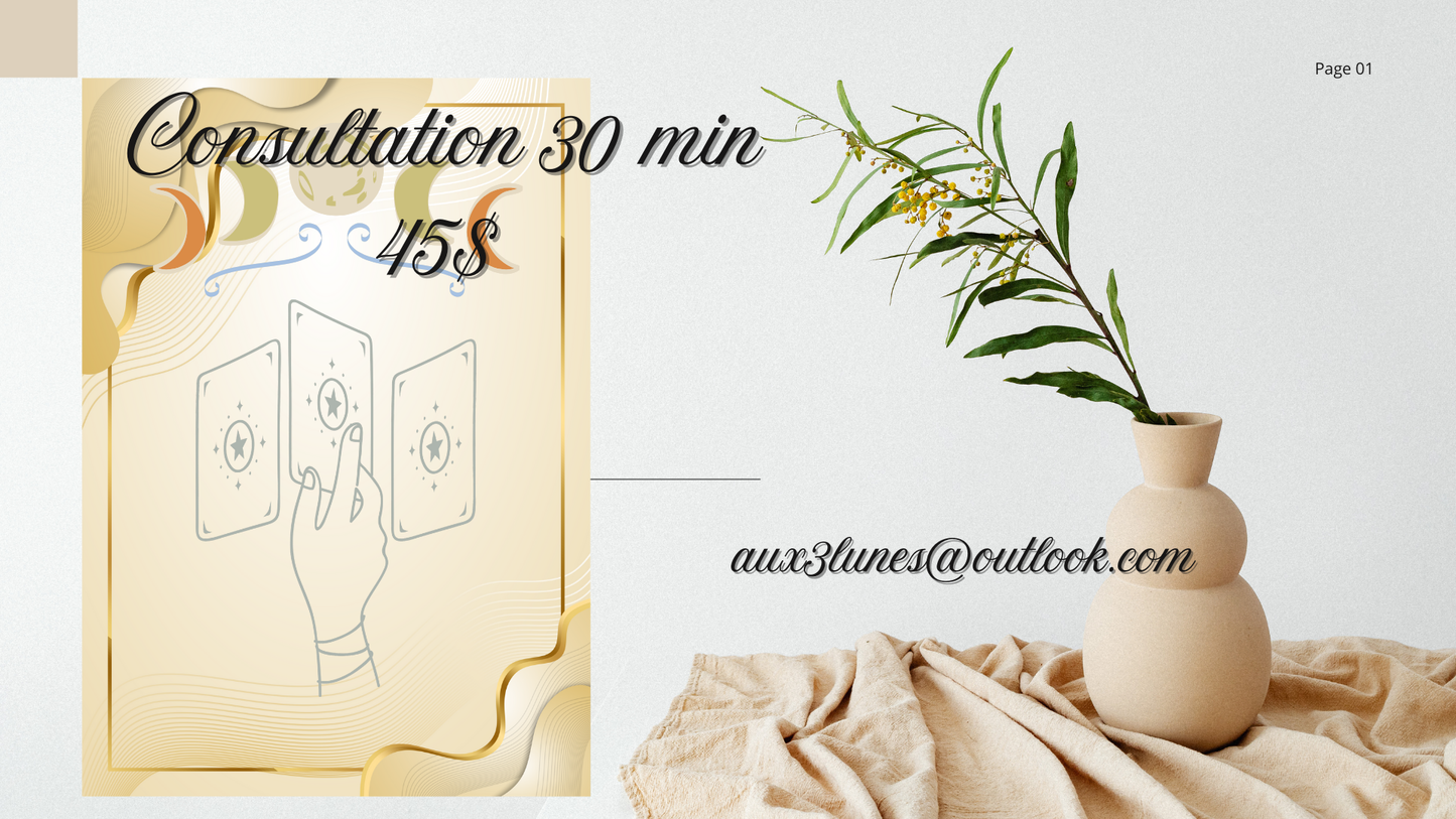Consultation en ligne