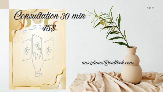 Consultation en ligne